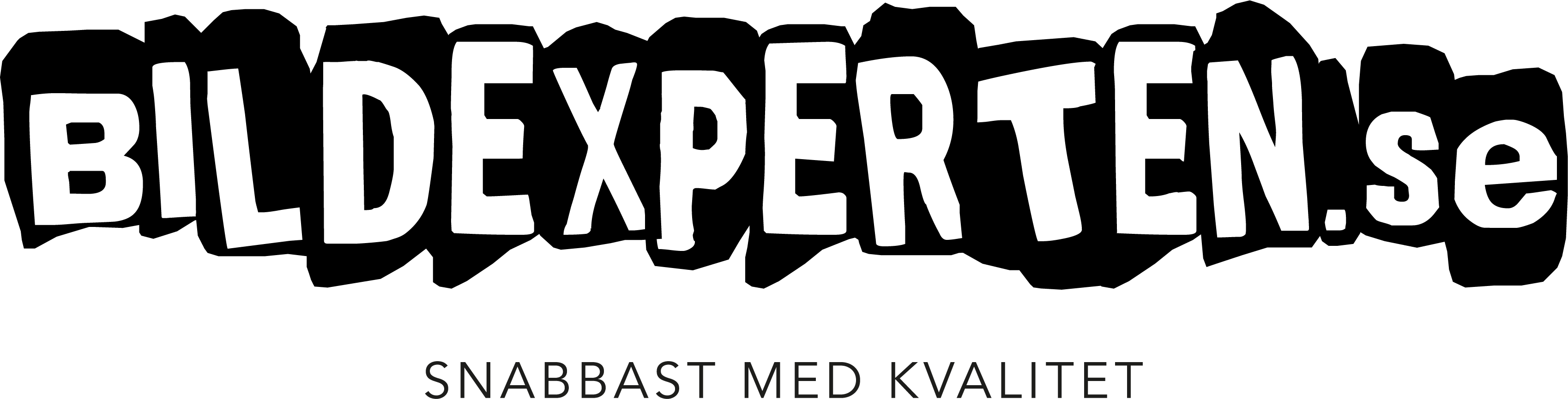 Bildexperten